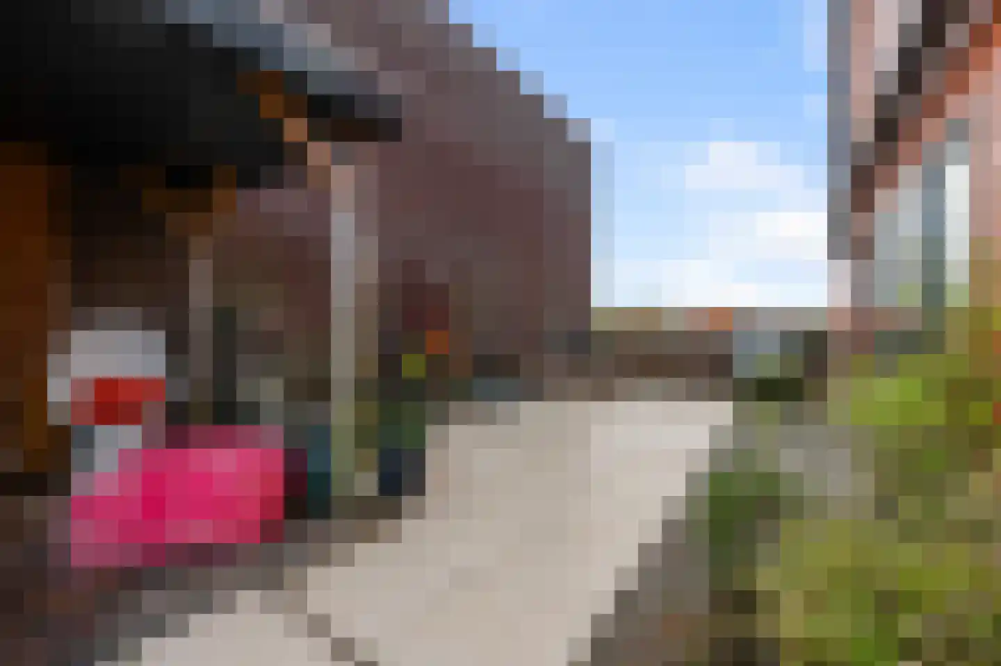 Vaartdijk 3 N Wormerveer thumbnail 16