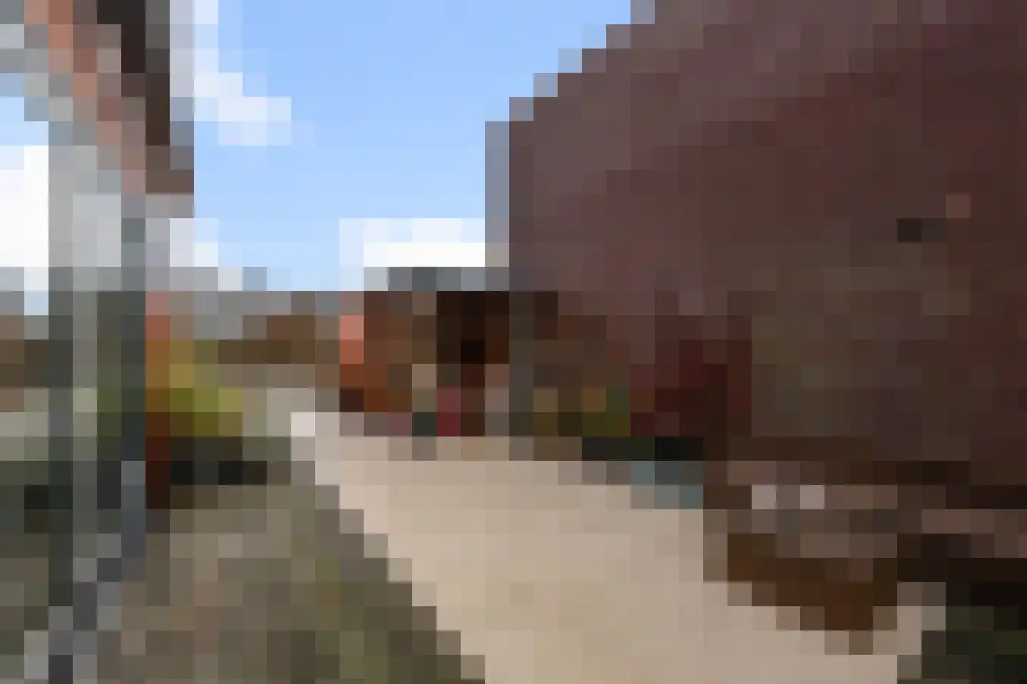 Vaartdijk 3 N Wormerveer thumbnail 18
