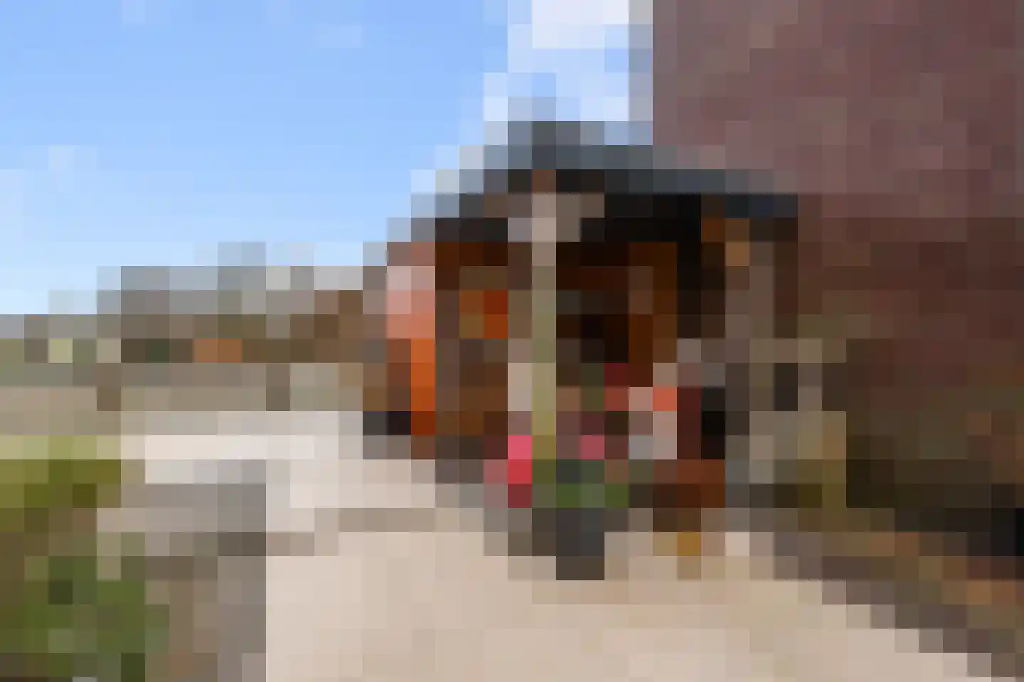 Vaartdijk 3 N Wormerveer thumbnail 19