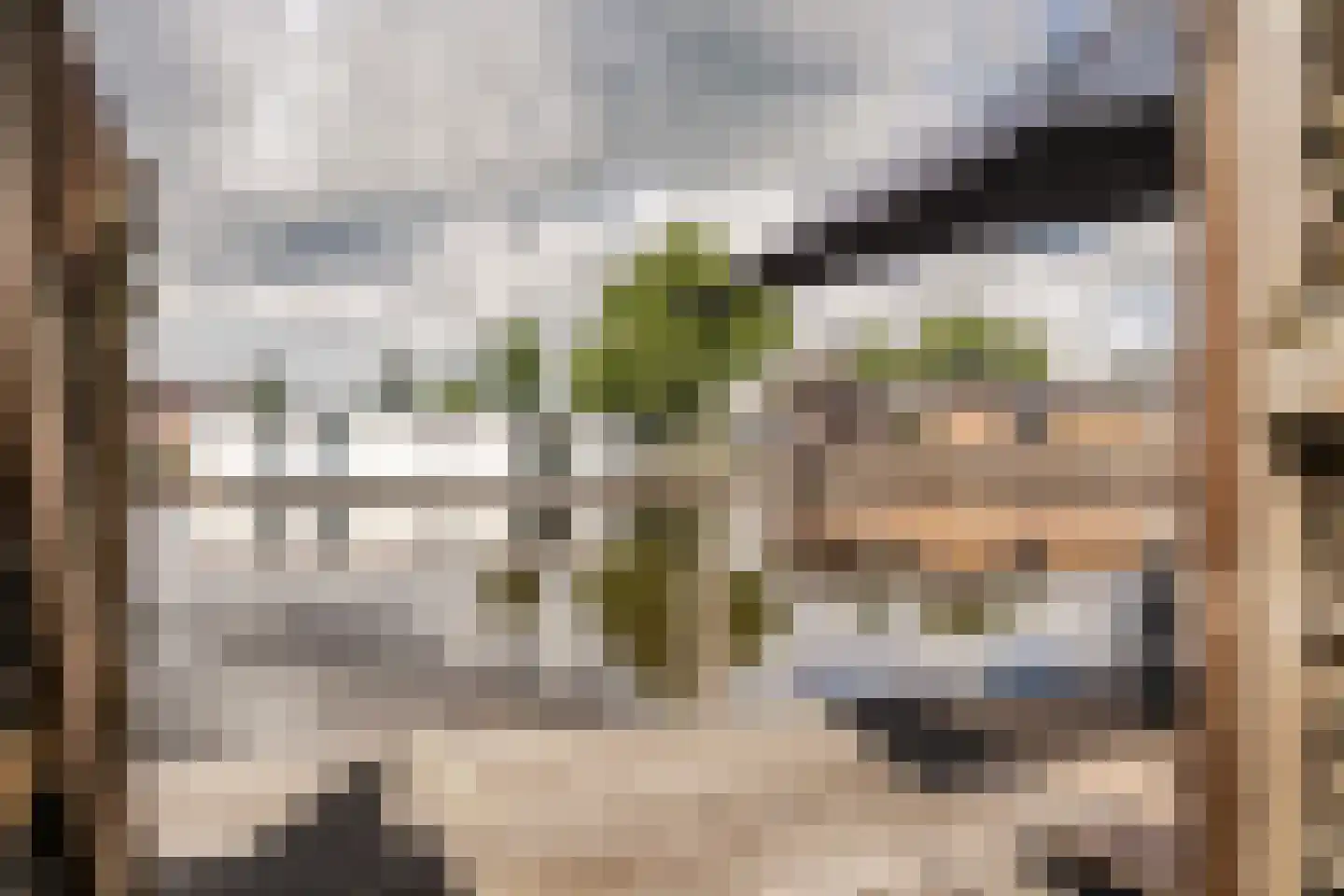 Vaartdijk 3 R Wormerveer thumbnail 25