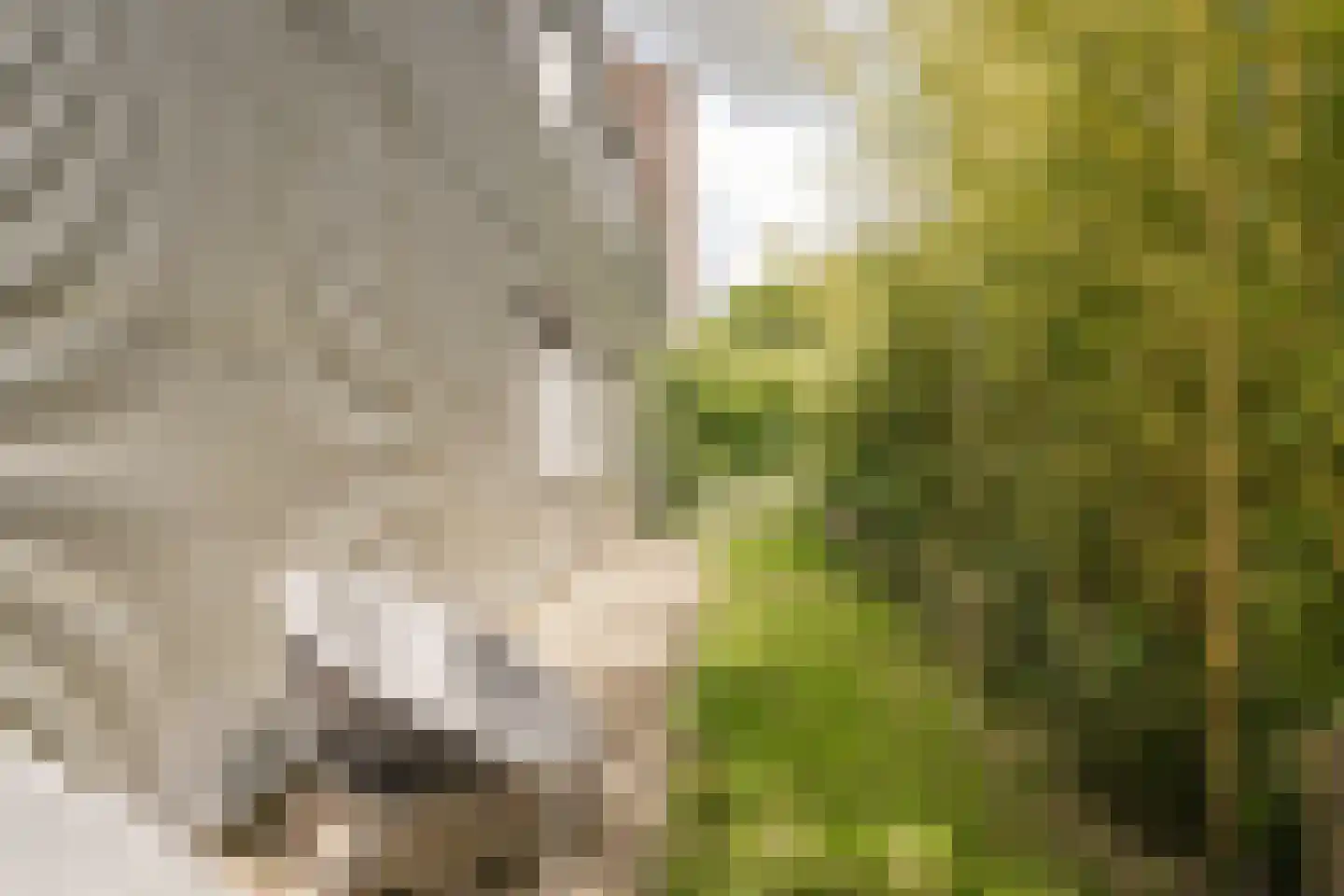 Vaartdijk 3 R Wormerveer thumbnail 43