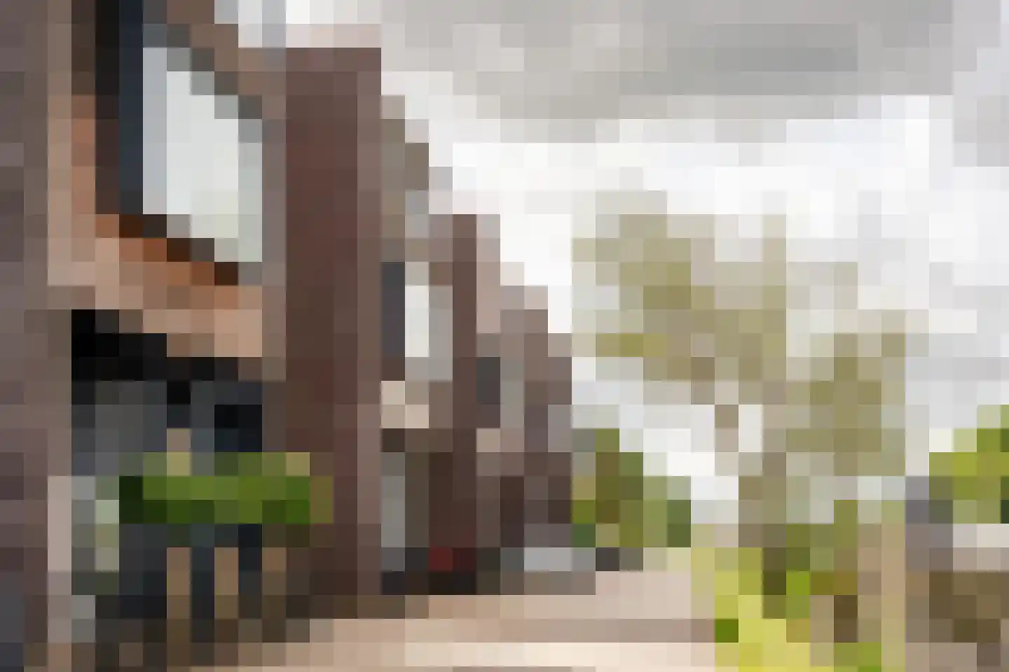 Vaartdijk 3 R Wormerveer thumbnail 66