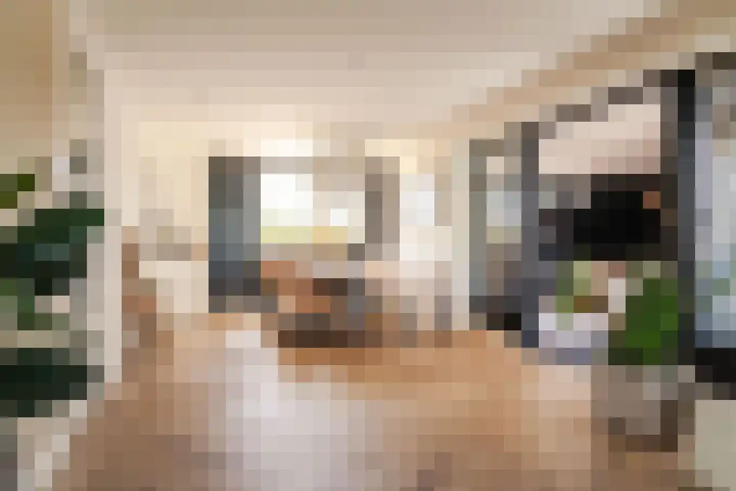 Vaartdijk 3 R Wormerveer thumbnail 7