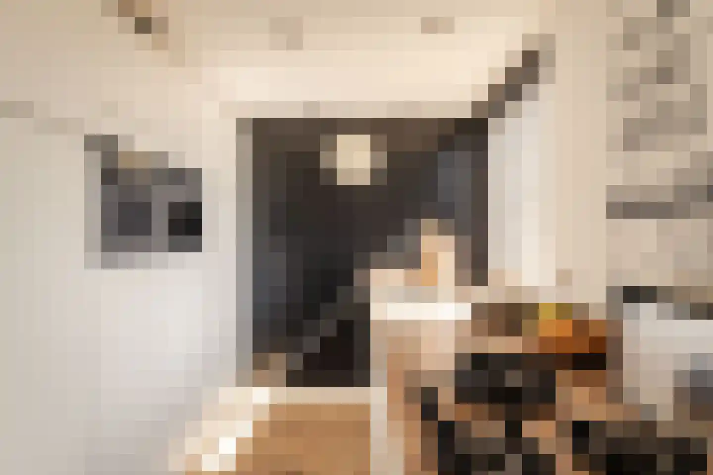 Vaartdijk 3 R Wormerveer thumbnail 8