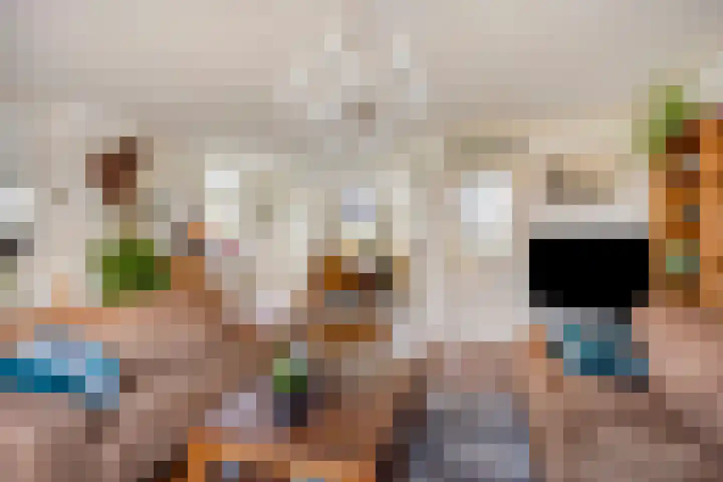 Vaartdijk 43 D Assendelft thumbnail 13