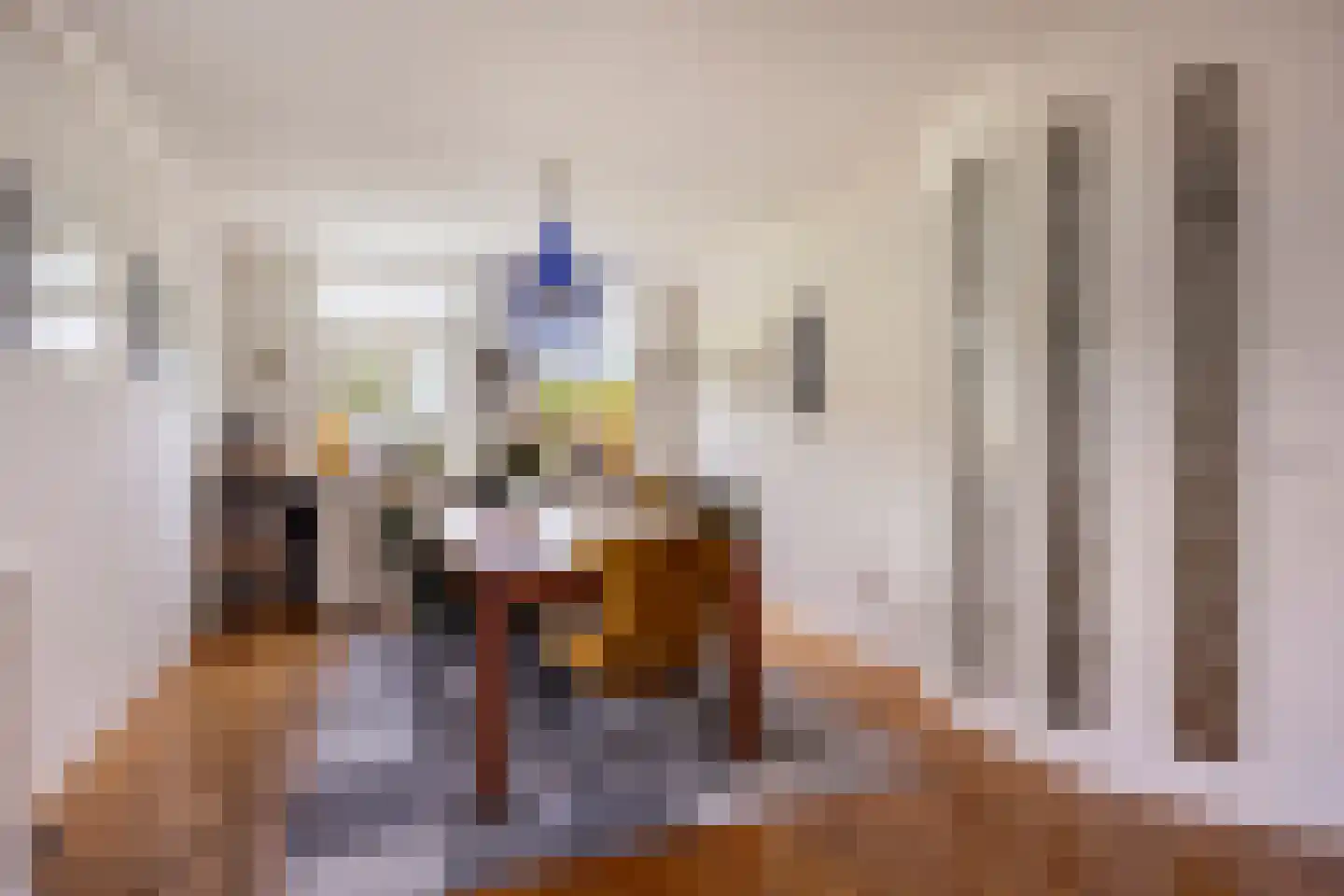 Vaartdijk 43 D Assendelft thumbnail 14