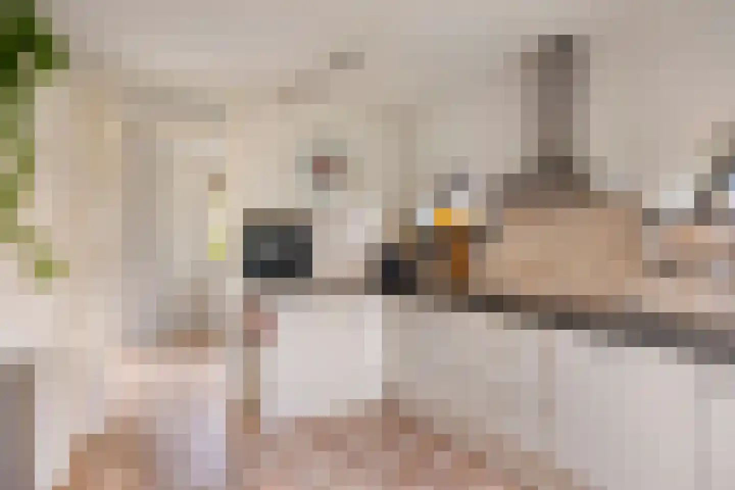 Vaartdijk 43 D Assendelft thumbnail 18