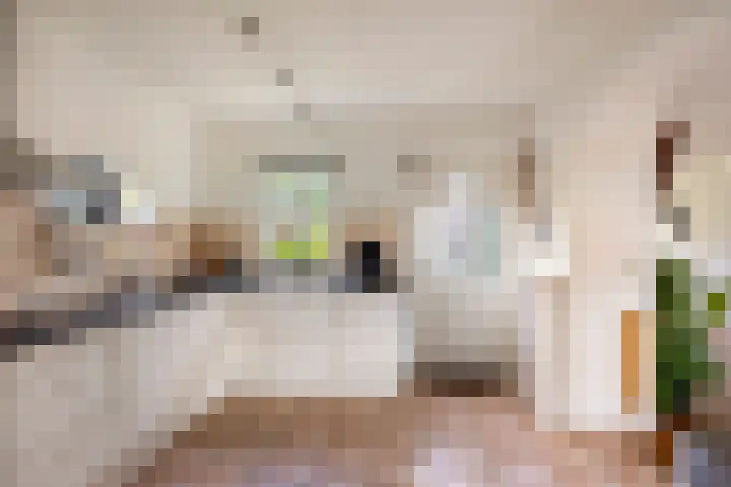 Vaartdijk 43 D Assendelft thumbnail 19