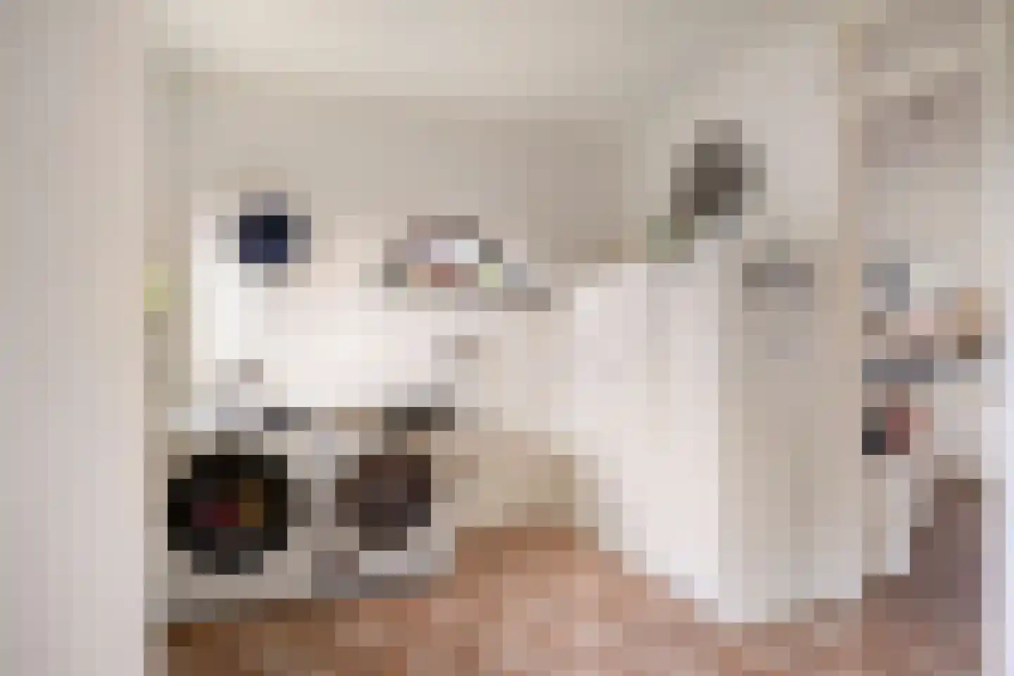 Vaartdijk 43 D Assendelft thumbnail 20