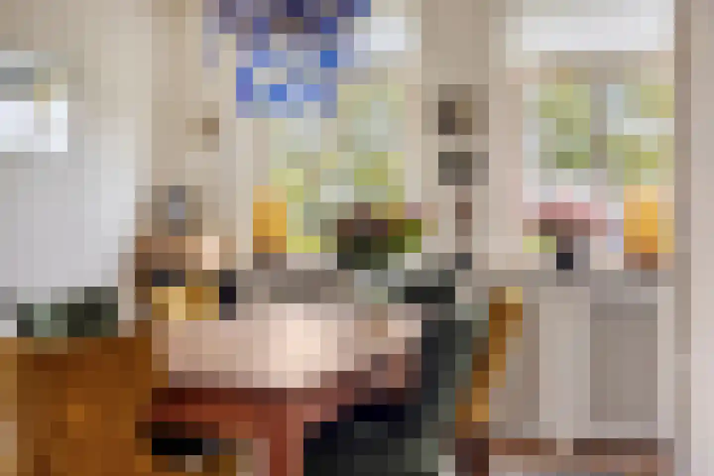 Vaartdijk 43 D Assendelft thumbnail 22