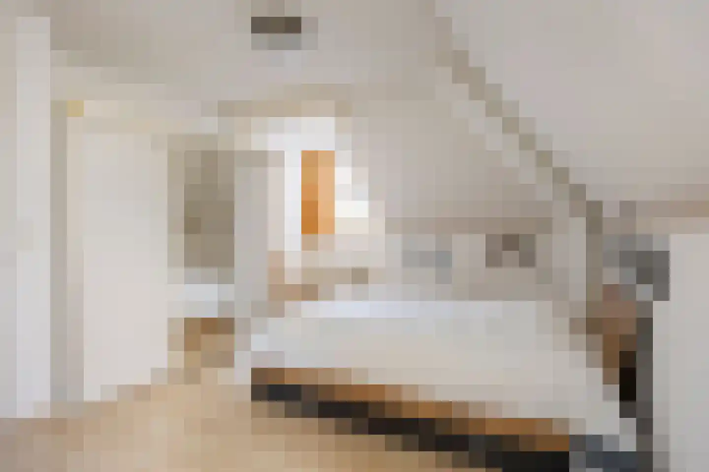 Vaartdijk 43 D Assendelft thumbnail 24