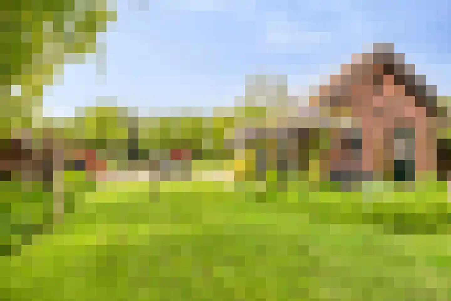 Vaartdijk 43 D Assendelft foto 3