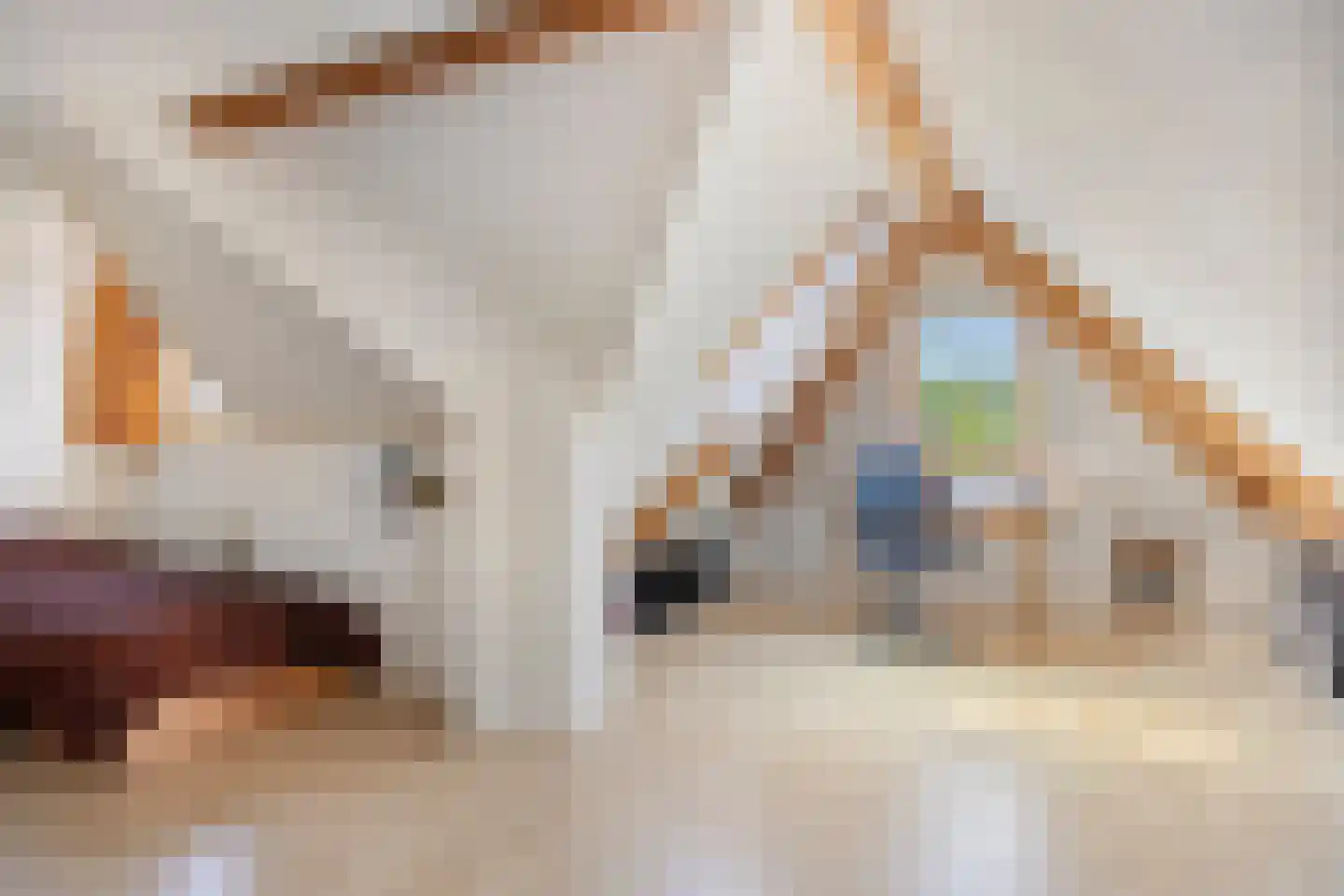Vaartdijk 43 D Assendelft thumbnail 30