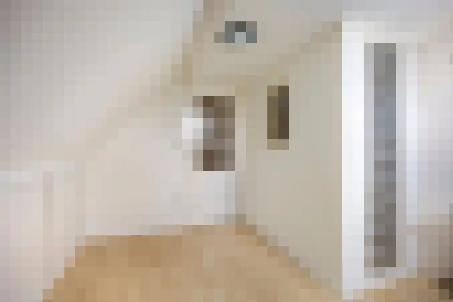 Vaartdijk 43 D Assendelft thumbnail 32