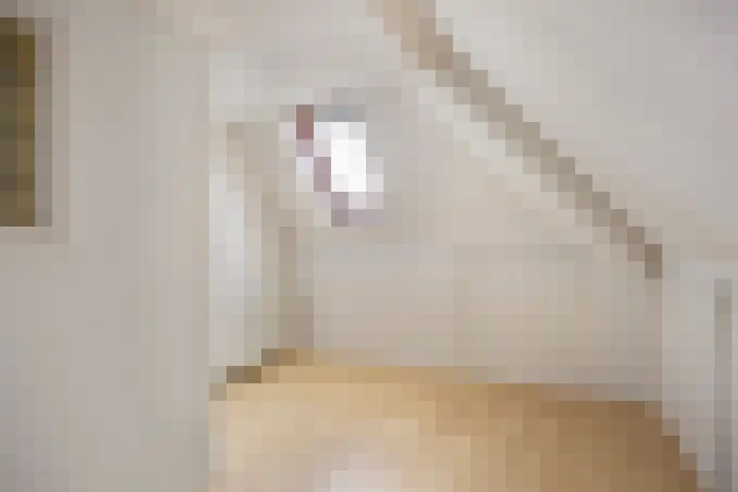 Vaartdijk 43 D Assendelft thumbnail 33