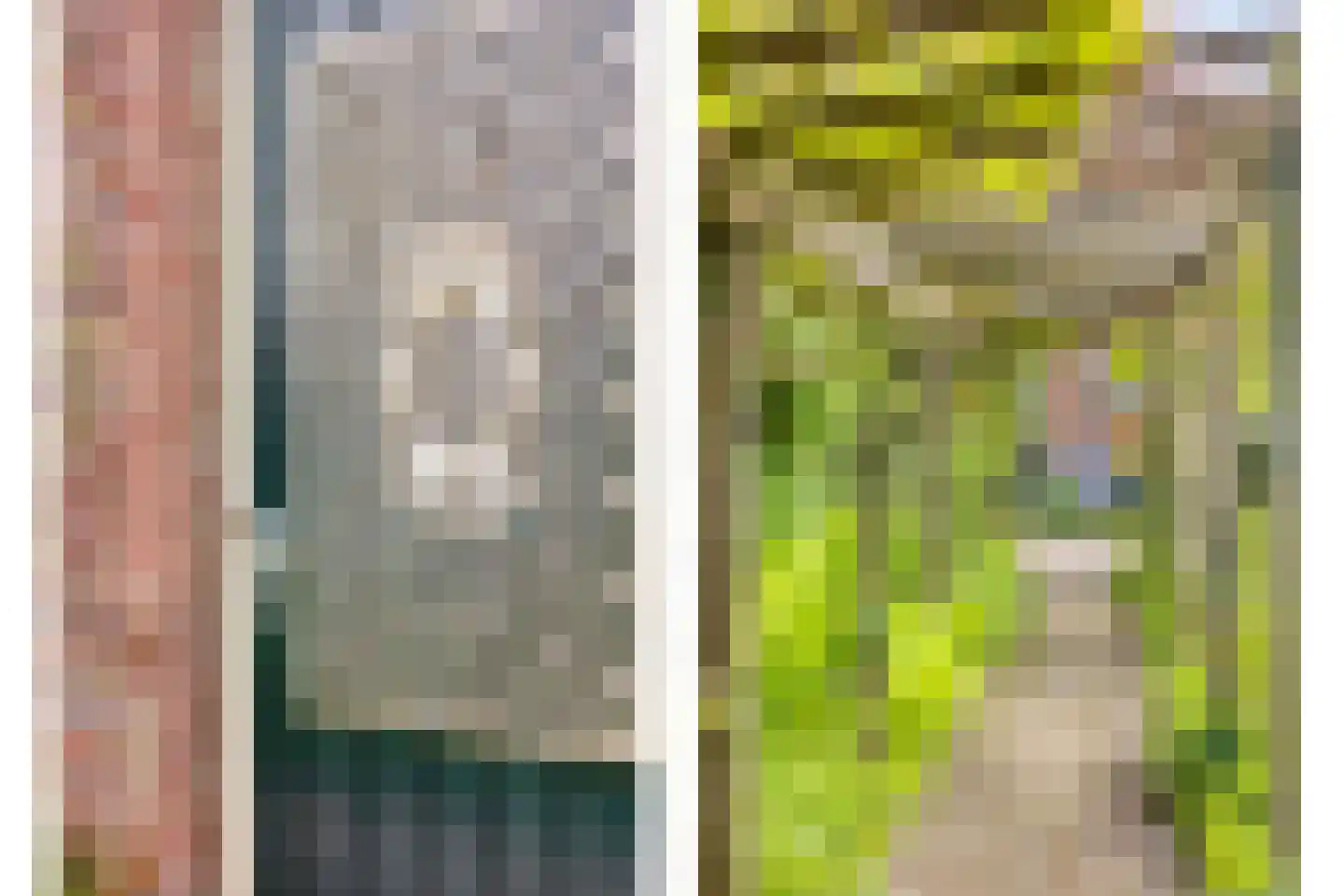 Vaartdijk 43 D Assendelft thumbnail 39