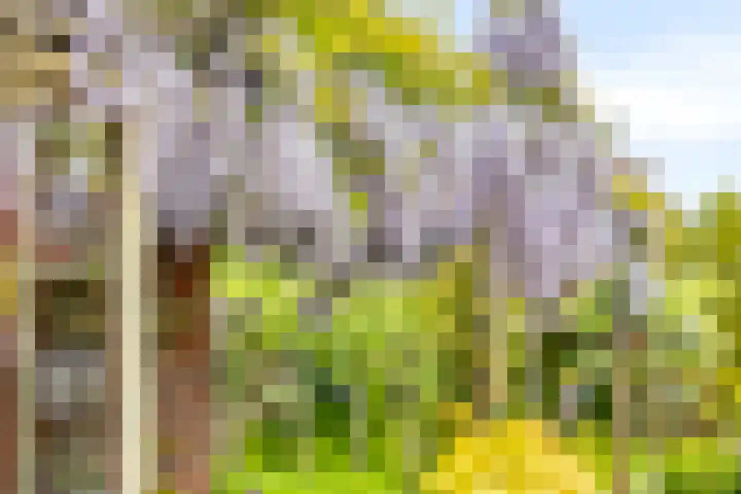 Vaartdijk 43 D Assendelft thumbnail 46