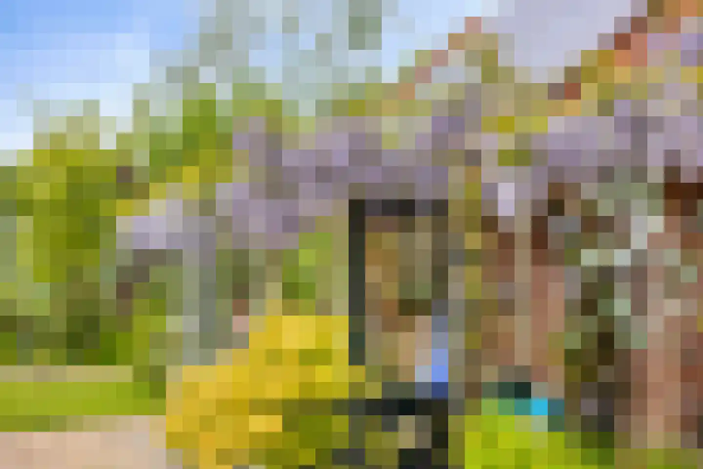 Vaartdijk 43 D Assendelft thumbnail 47