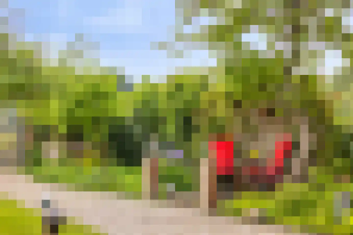 Vaartdijk 43 D Assendelft thumbnail 48