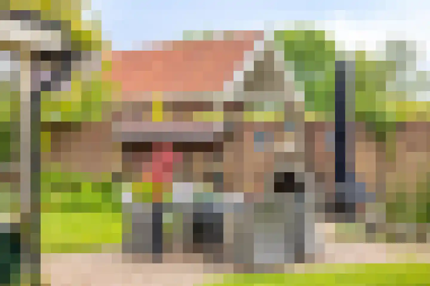 Vaartdijk 43 D Assendelft thumbnail 49