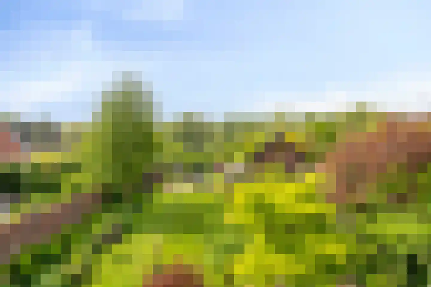 Vaartdijk 43 D Assendelft thumbnail 51