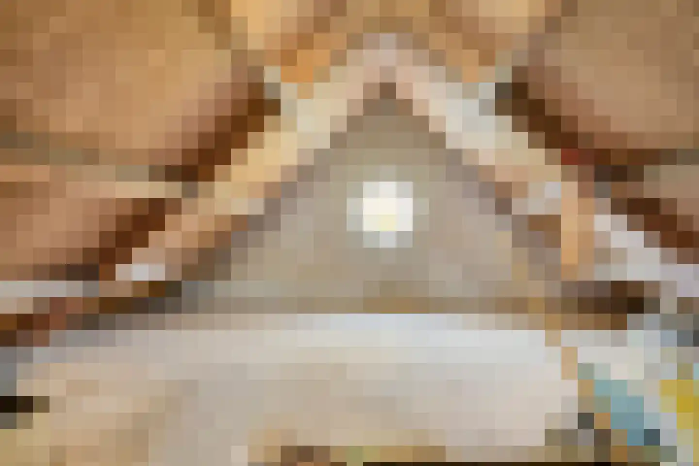 Vaartdijk 43 D Assendelft thumbnail 55