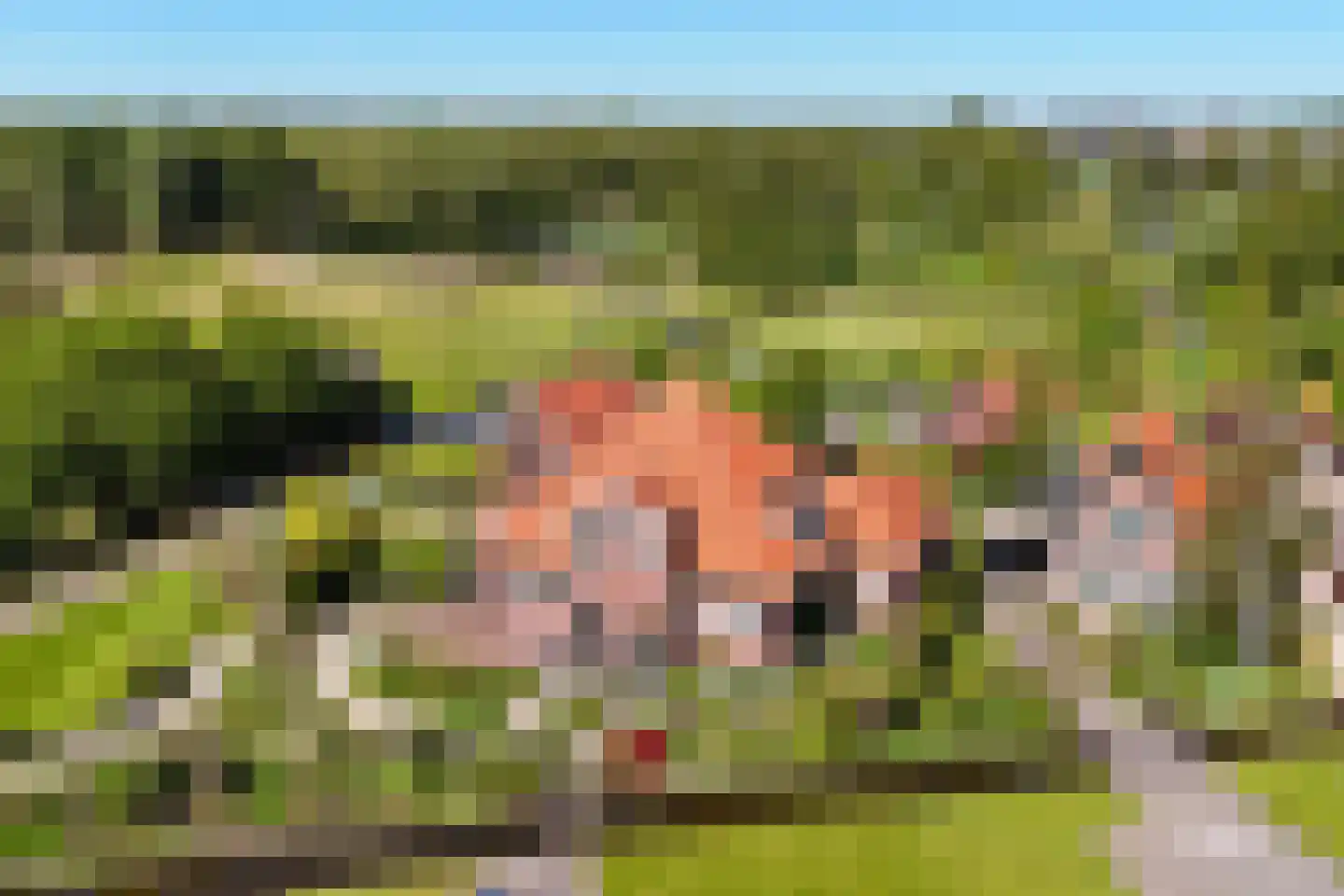 Vaartdijk 43 D Assendelft thumbnail 58
