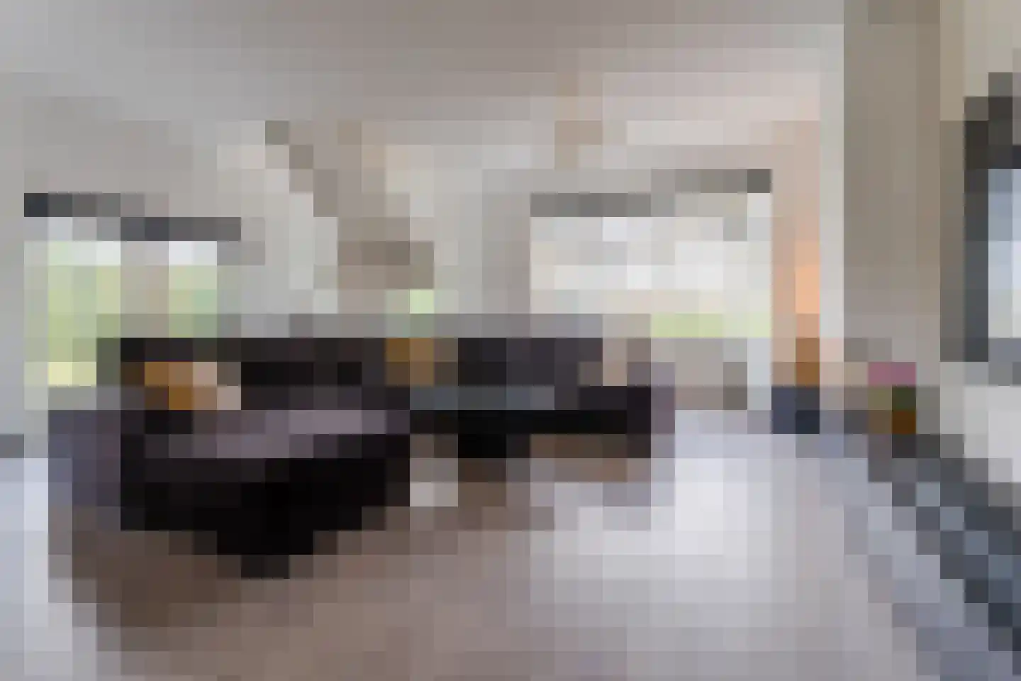 Vaartdijk 60 Assendelft thumbnail 8
