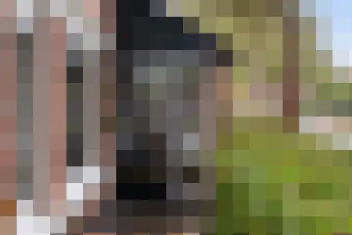 Vaartdreef 44 Zoetermeer thumbnail 12
