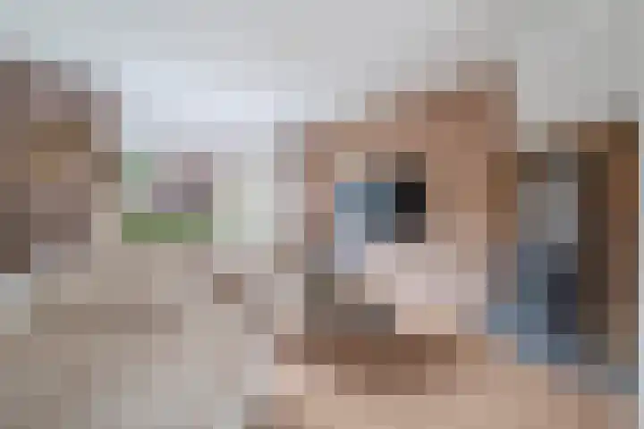 Vaartdreef 44 Zoetermeer thumbnail 18