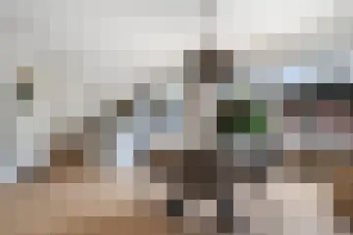 Vaartdreef 44 Zoetermeer thumbnail 23