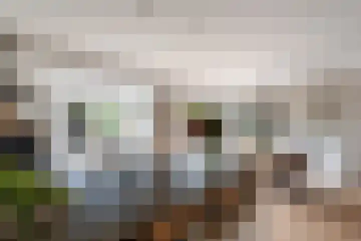 Vaartdreef 44 Zoetermeer thumbnail 25