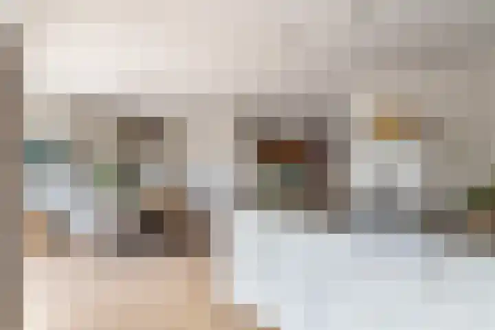 Vaartdreef 44 Zoetermeer thumbnail 26