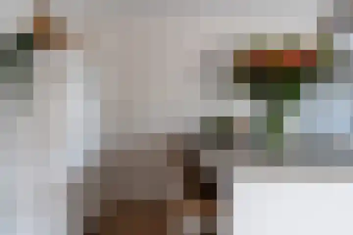 Vaartdreef 44 Zoetermeer thumbnail 28