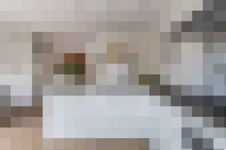 Vaartdreef 44 Zoetermeer thumbnail 30