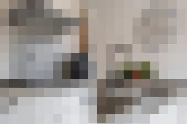 Vaartdreef 44 Zoetermeer thumbnail 31