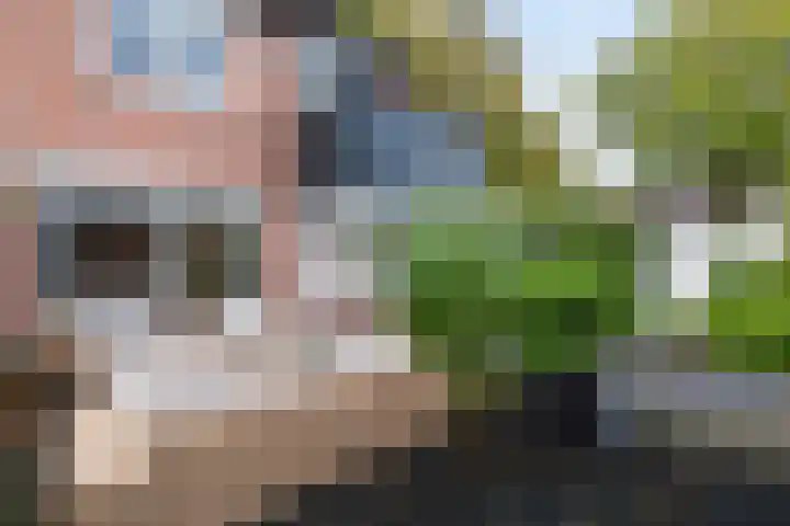 Vaartdreef 44 Zoetermeer thumbnail 34
