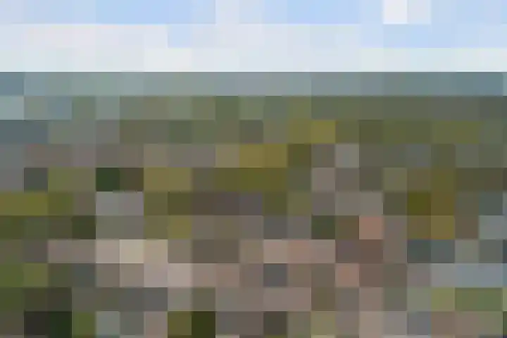 Vaartdreef 44 Zoetermeer thumbnail 4