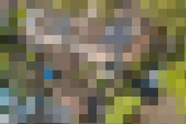 Vaartdreef 44 Zoetermeer thumbnail 40