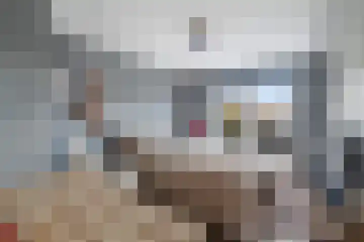 Vaartdreef 44 Zoetermeer thumbnail 44
