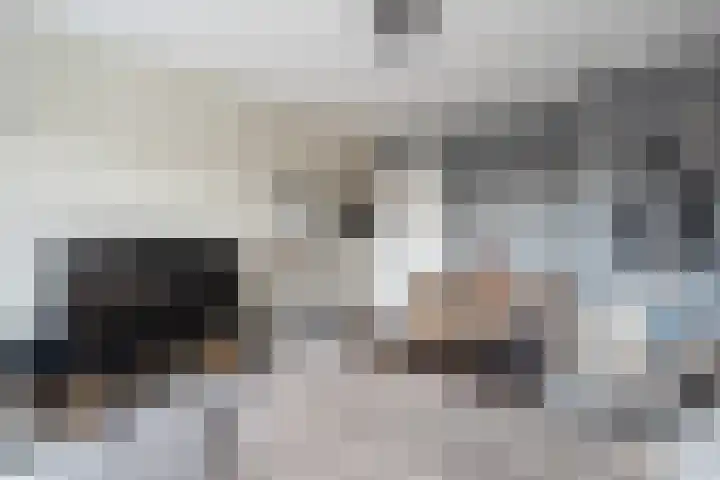 Vaartdreef 44 Zoetermeer thumbnail 47
