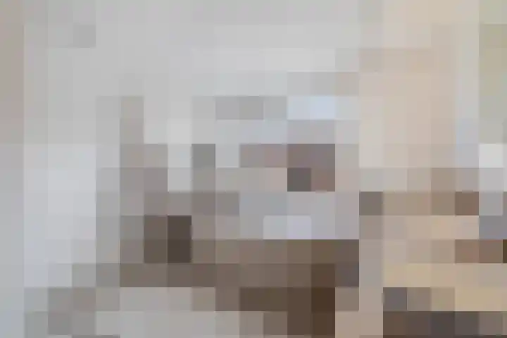 Vaartdreef 44 Zoetermeer thumbnail 49