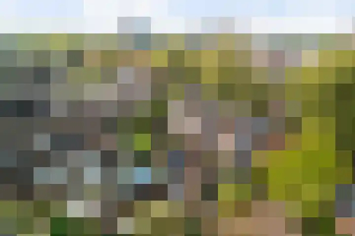 Vaartdreef 44 Zoetermeer thumbnail 5