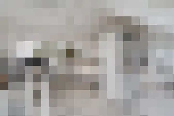 Vaartdreef 44 Zoetermeer thumbnail 54