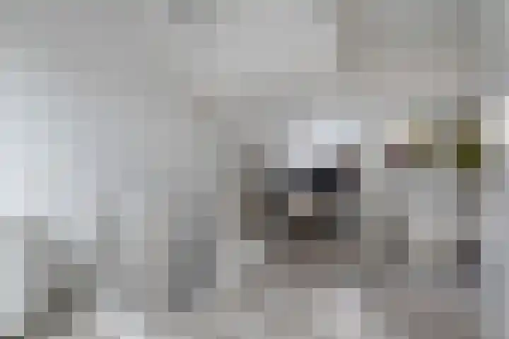 Vaartdreef 44 Zoetermeer thumbnail 55