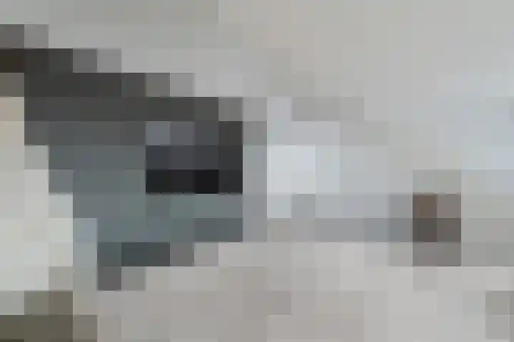 Vaartdreef 44 Zoetermeer thumbnail 57