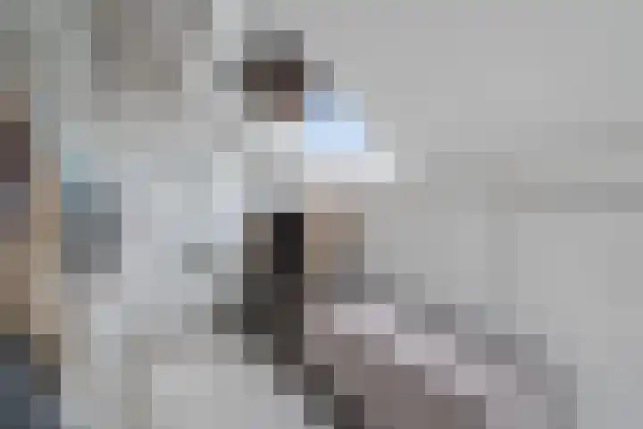 Vaartdreef 44 Zoetermeer thumbnail 58