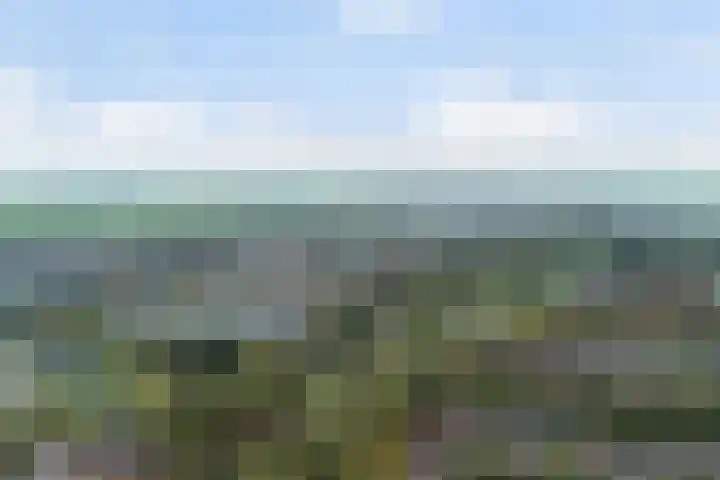 Vaartdreef 44 Zoetermeer thumbnail 59