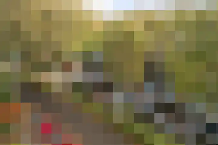 Vaartdreef 44 Zoetermeer thumbnail 6