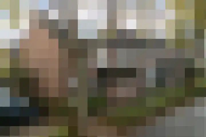 Vaartdreef 44 Zoetermeer thumbnail 8